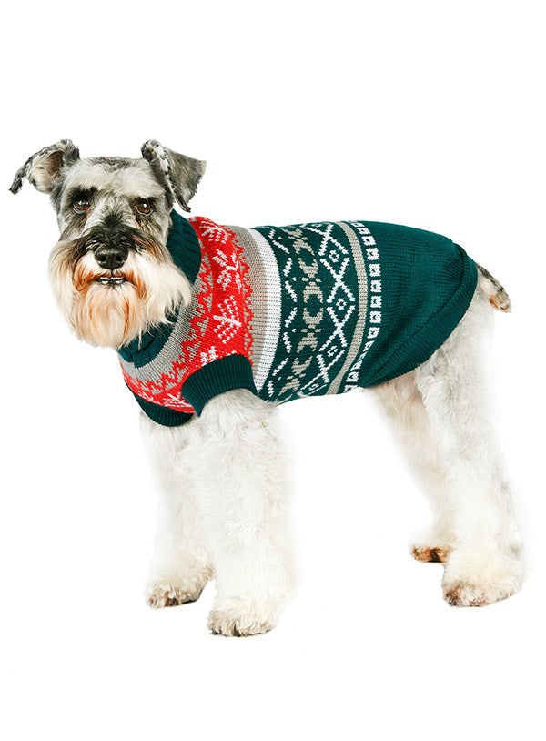 Schnauzer portant un chandail de Noël tricoté vert et rouge