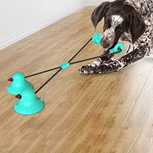 Chien qui joue avec un jouet ventouse à double fixation au sol