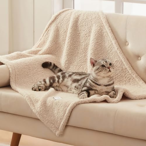 Couverture sherpa pour animaux