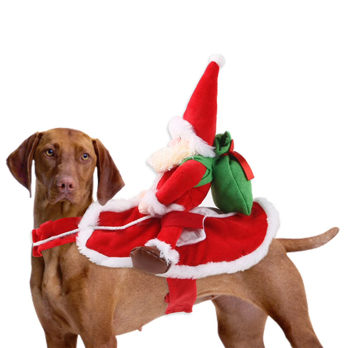Chien vizsla avec le Père Noël et son sac de cadeaux sur le dos