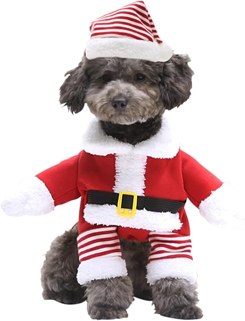 Costume de Noël pour chat et chien