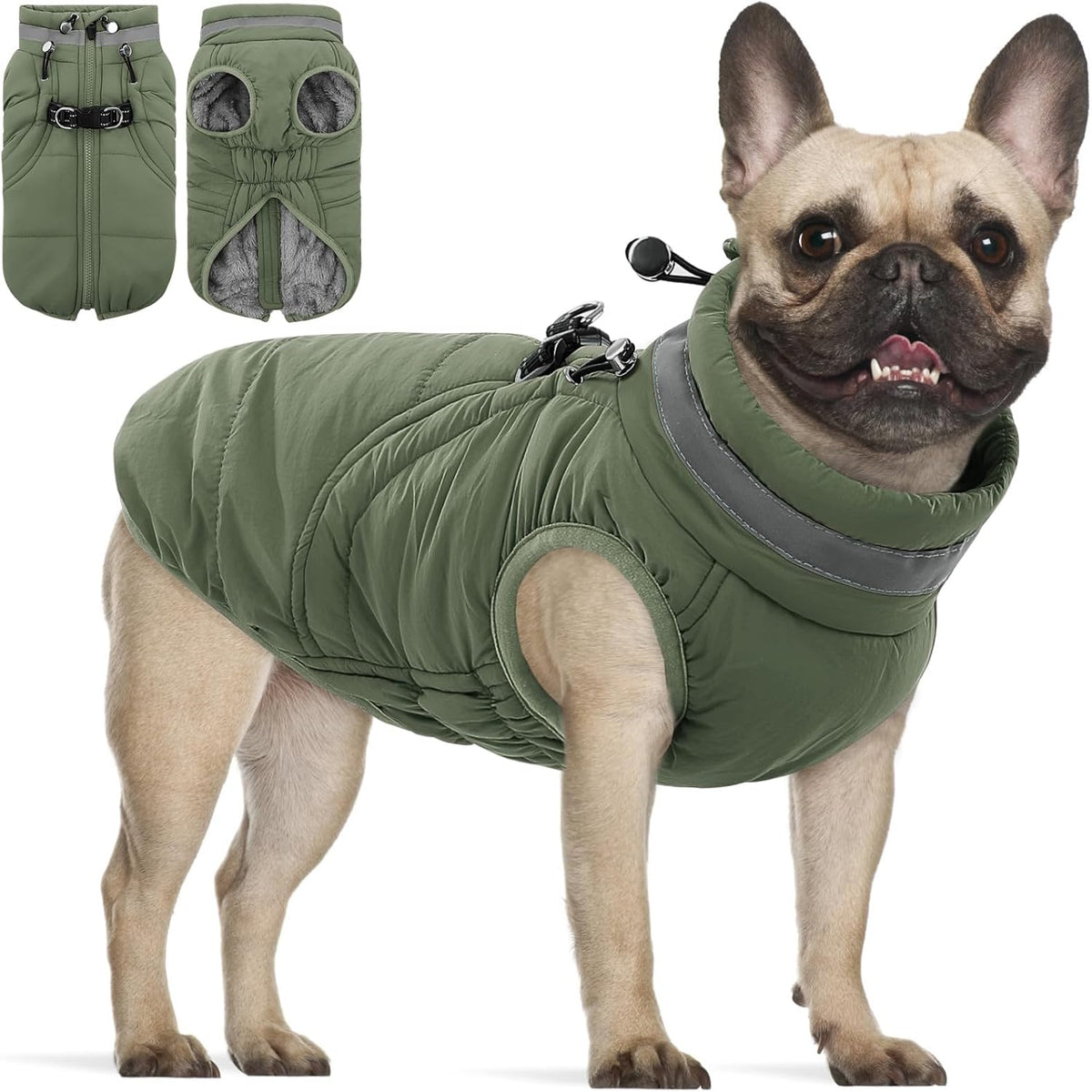 Chien bouledogue français portant un manteau d hiver vert imperméable