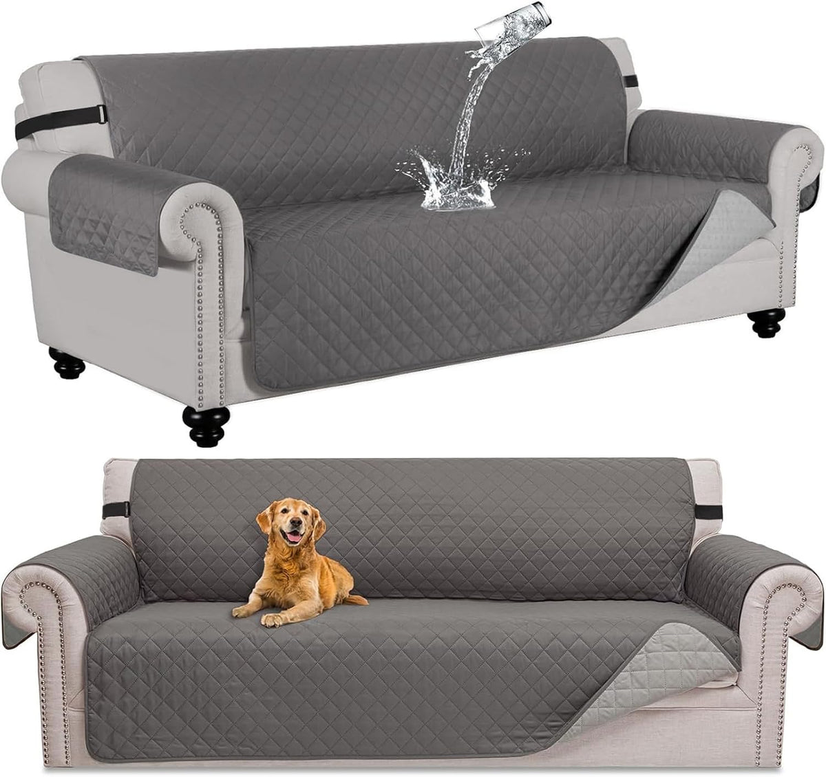 Grande housse de canapé imperméable grise matelassée, chien couché dessus, eau qui perle