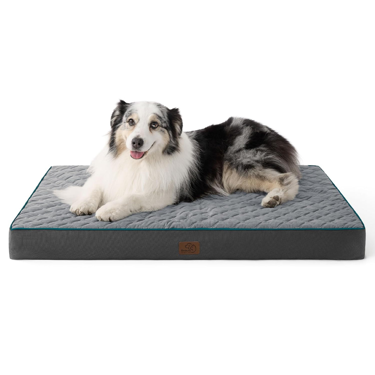 Grand chien couché sur le lit orthopédique XL en mousse mémoire gris