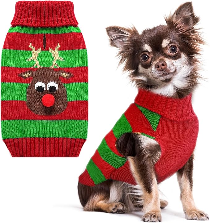 Chihuahua portant le chandail de Noël à rayures rouge et vert avec renne