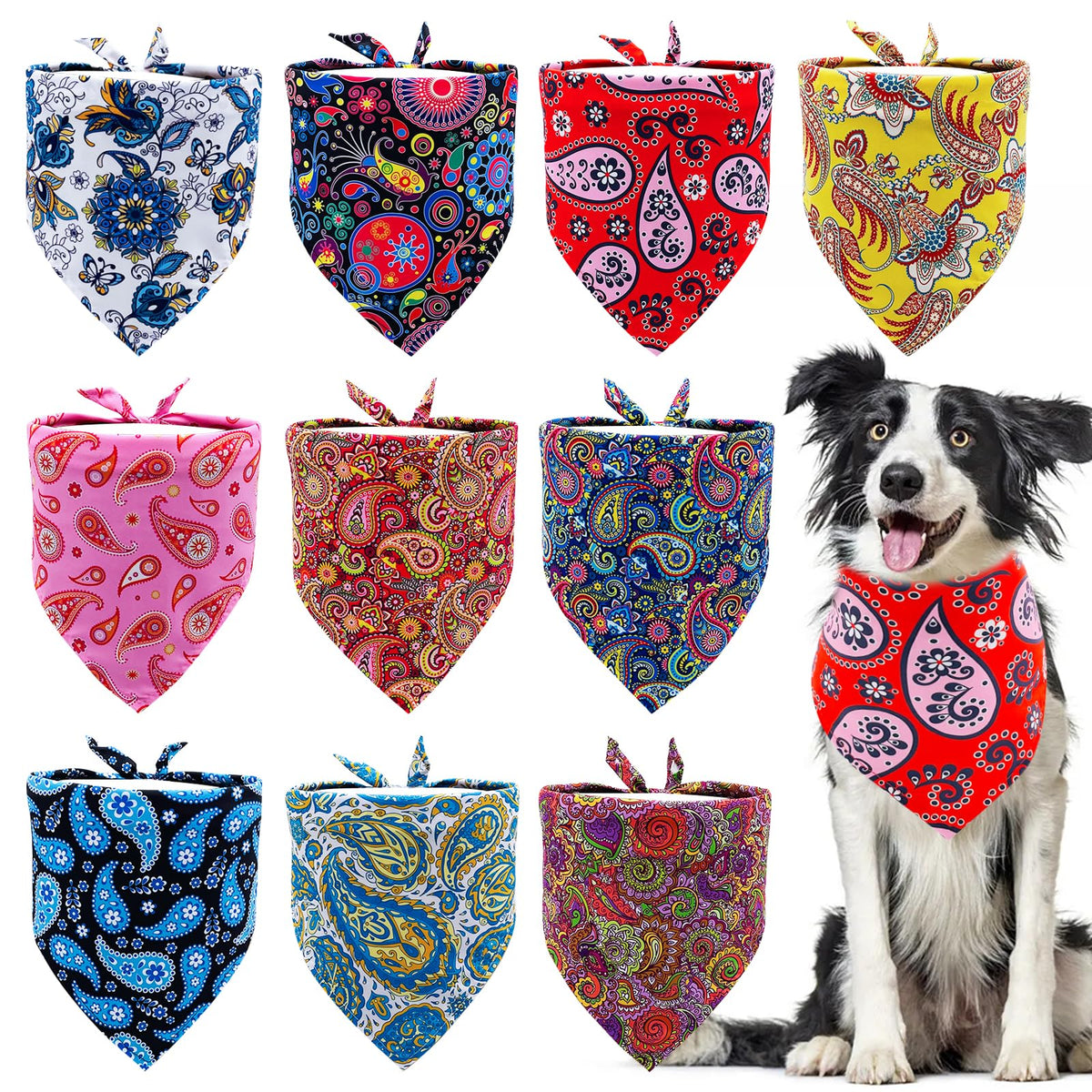 Lot de 10 bandanas pour chien aux motifs assortis et chien qui en porte un