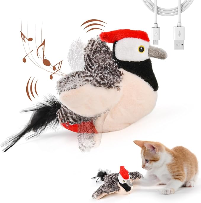 Pic interactif qui bat des ailes pour chat, rechargeable USB, avec un chaton qui joue