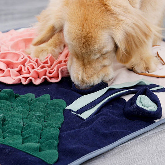 Chiot qui renifle un tapis de fouille en tissu