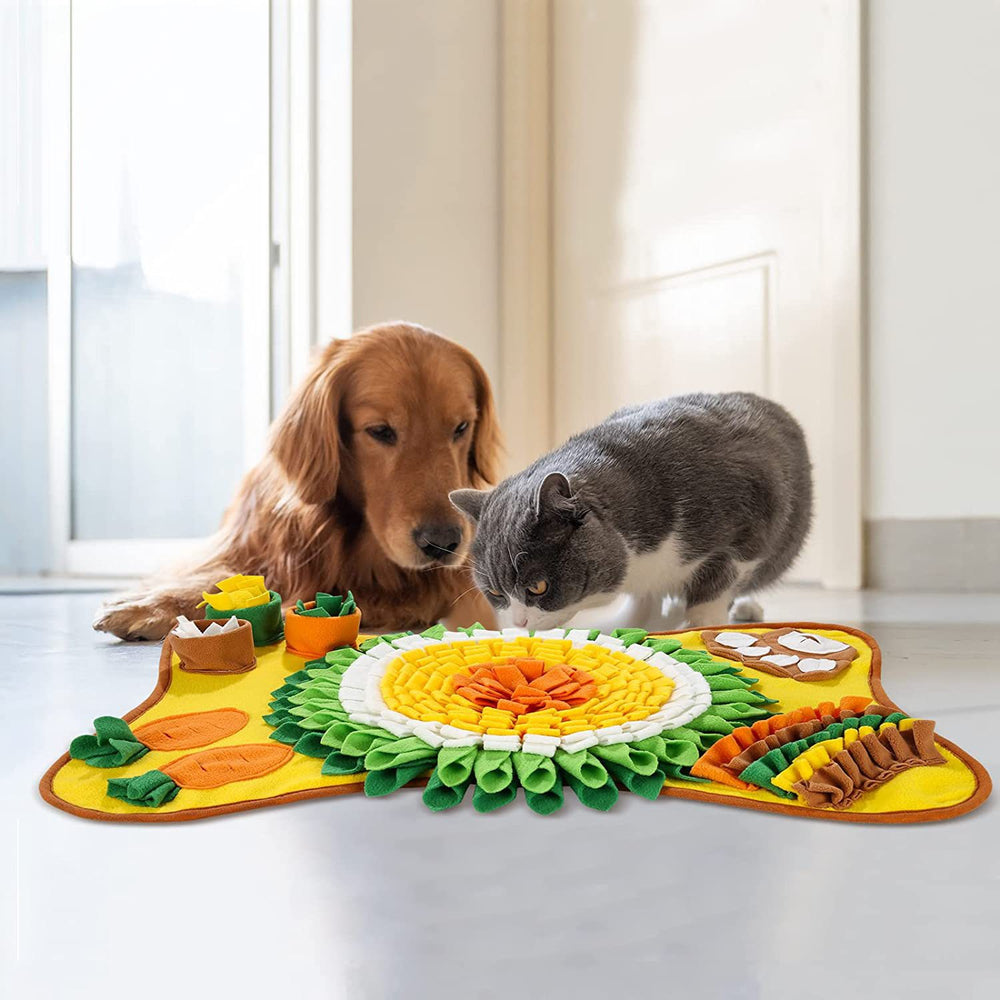 Chien et chat devant un tapis de fouille avec de nombreuses cachettes