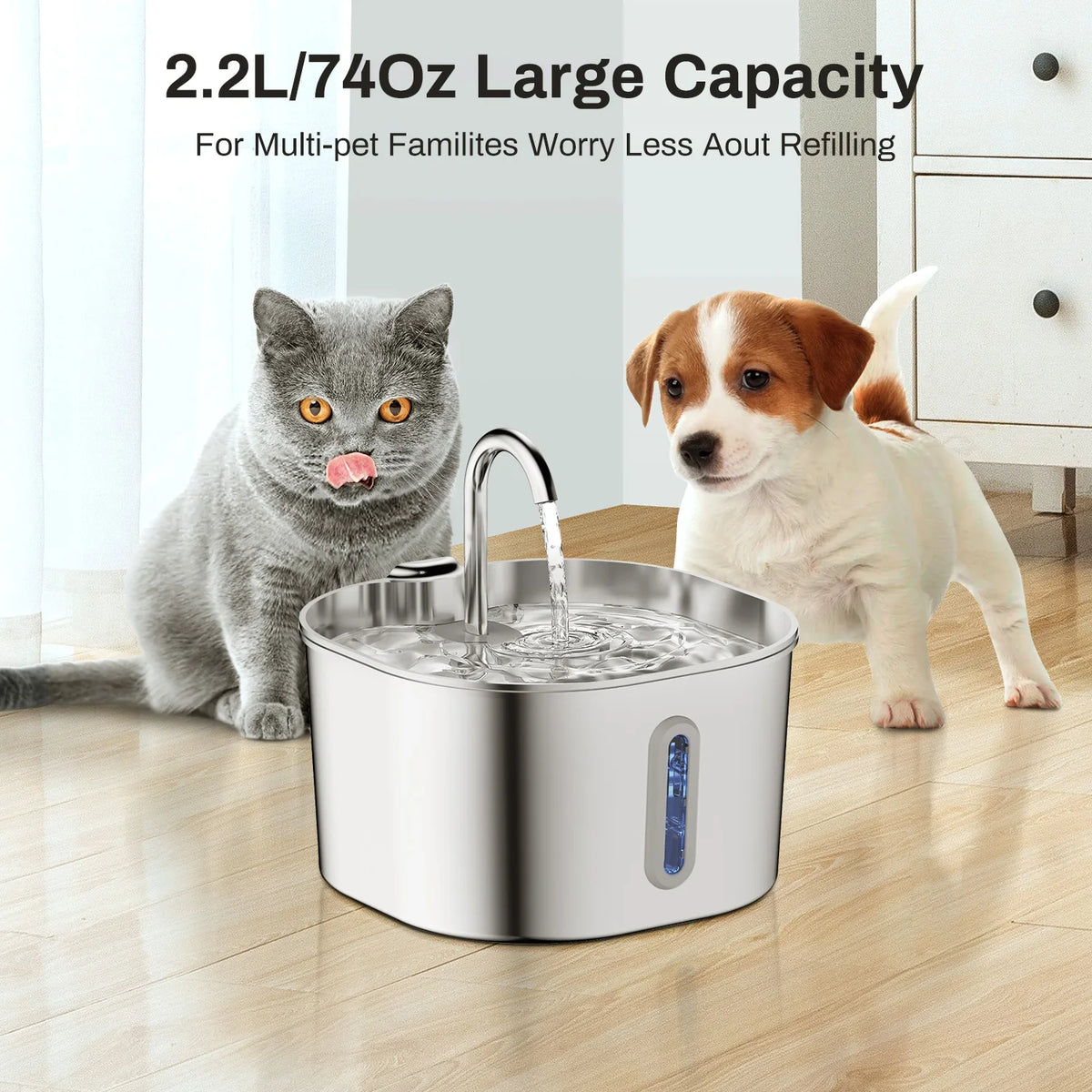 Fontaine à eau 2,2 L avec chat gris et petit chien