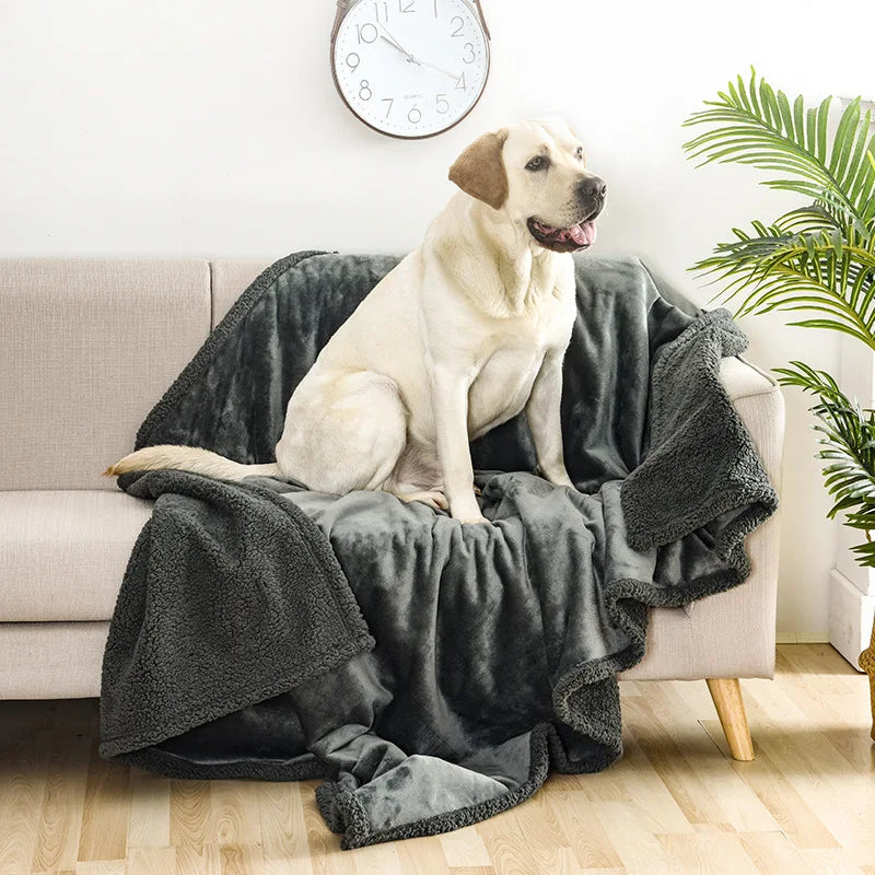 Couverture imperméable gris ardoise sur un canapé, avec un labrador assis dessus