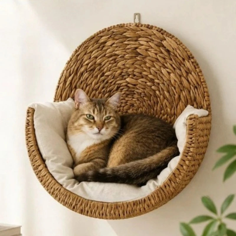 Cocon mural tressé pour chat avec coussin