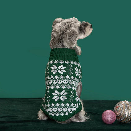 Chien portant le chandail de Noël vert à flocons blancs