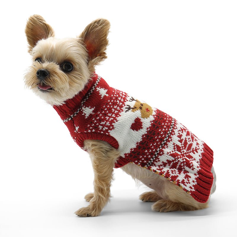 Petit chien portant le chandail de Noël rouge motif renne